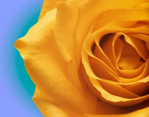 Refactoring the Gilded Rose kata
