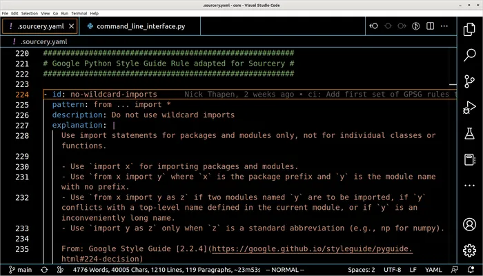 Google Python Style Guide in Sourcery